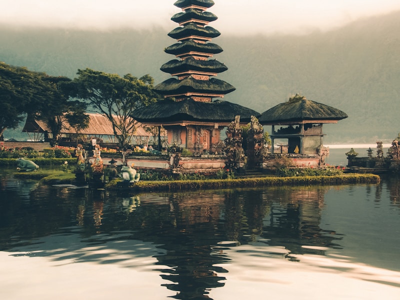 Beautiful terraced rice fields in Ubud