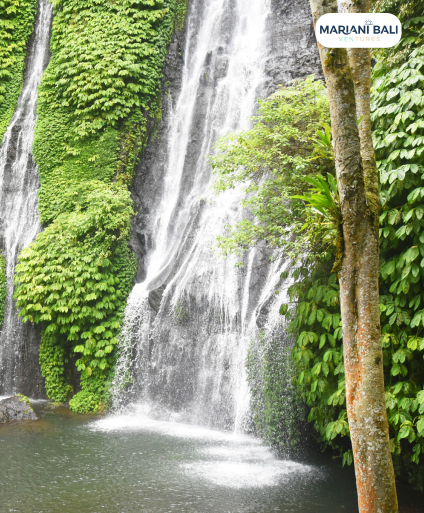 West Bali Sacred Temples & Waterfall Discovery